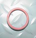 Encapsulated O-rings